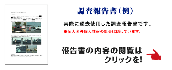 調査報告書例