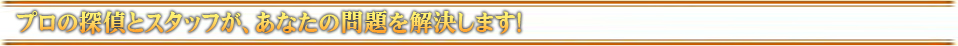 プロの探偵とスタッフが、あなたの問題を解決します！